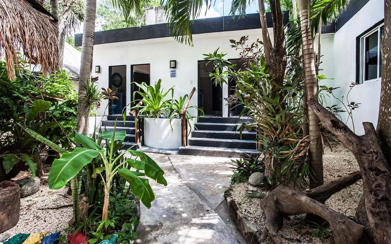 Hostel Oryx Τουλούμ 0*,  Μεξικό