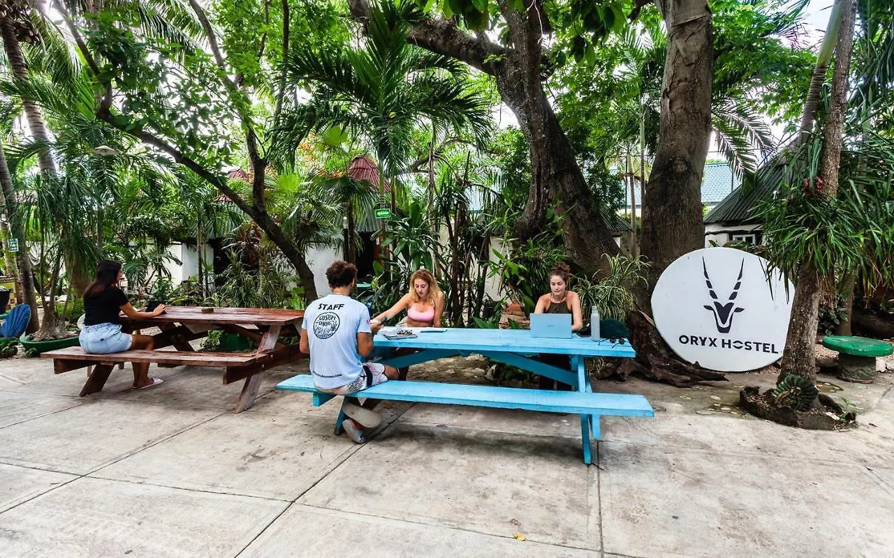 Hostel Oryx Tulum Pueblo Mexico