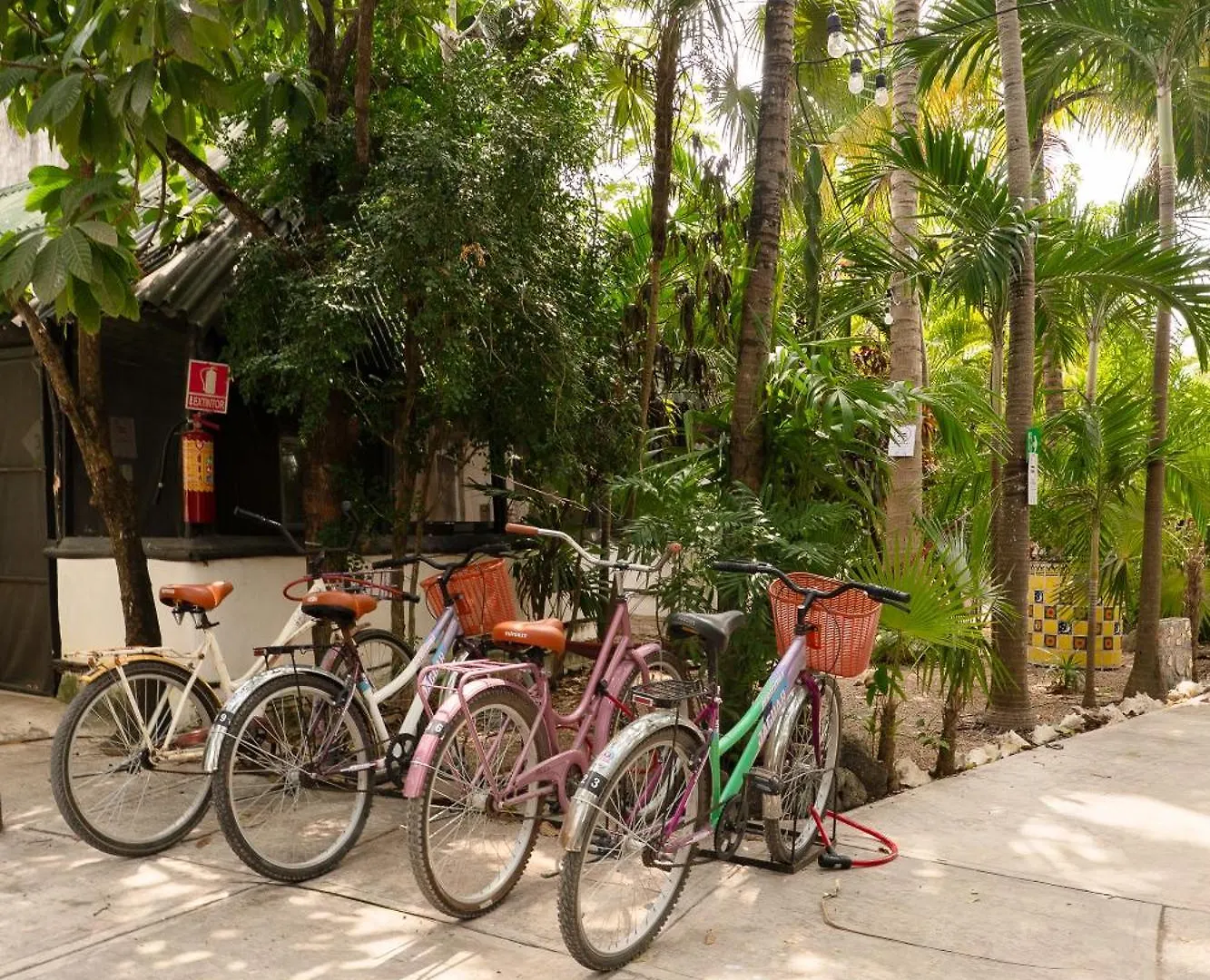 Hostel Oryx Tulum